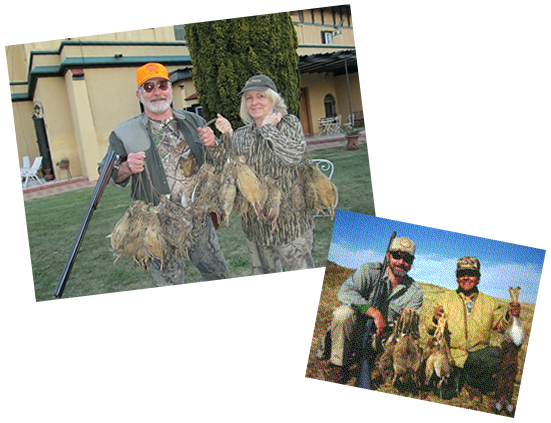 argentina-partridge-collage